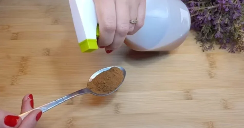 Las moscas y los mosquitos no serán más que un mal recuerdo en tu casa.