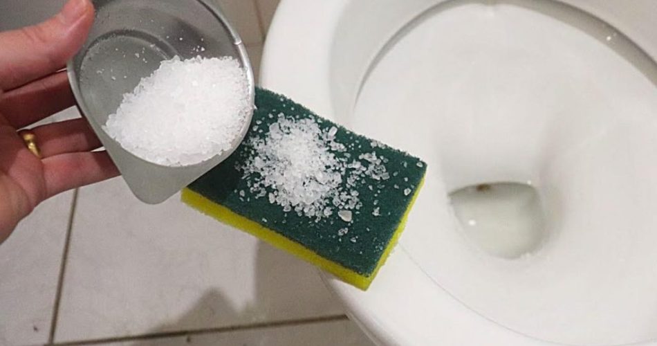 “Un método natural para un baño que siempre huele bien sin gastar un céntimo.”