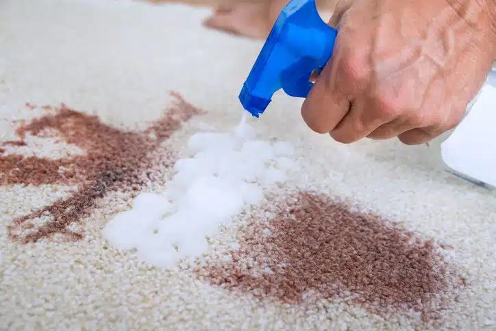 3 consejos para limpiar eficazmente una mancha en una alfombra de lana